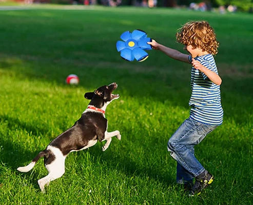 Pelota Mágica, El Mejor regalo para tu Mascota