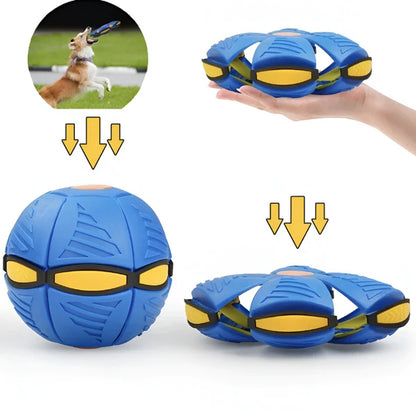 Pelota Mágica, El Mejor regalo para tu Mascota